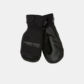 All Mountain Mittens